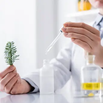 Kosmetik Tərkibi