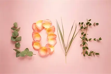 520 etiraf mövsümü 丨 etiraf etməyə hazırsınız