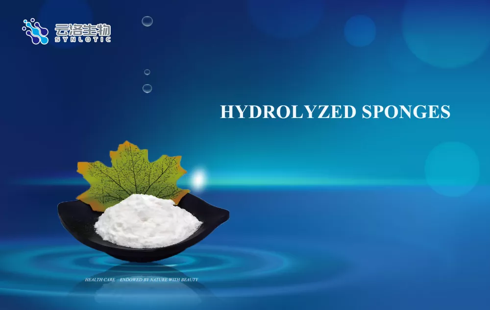 Hydrolyzed Sponges: Dərin dənizdən nəmləndirici və elastik dəriyə qulluq texnologiyası