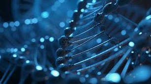 Ergothioneine: Qida Sağlamlığı Sənayesində 