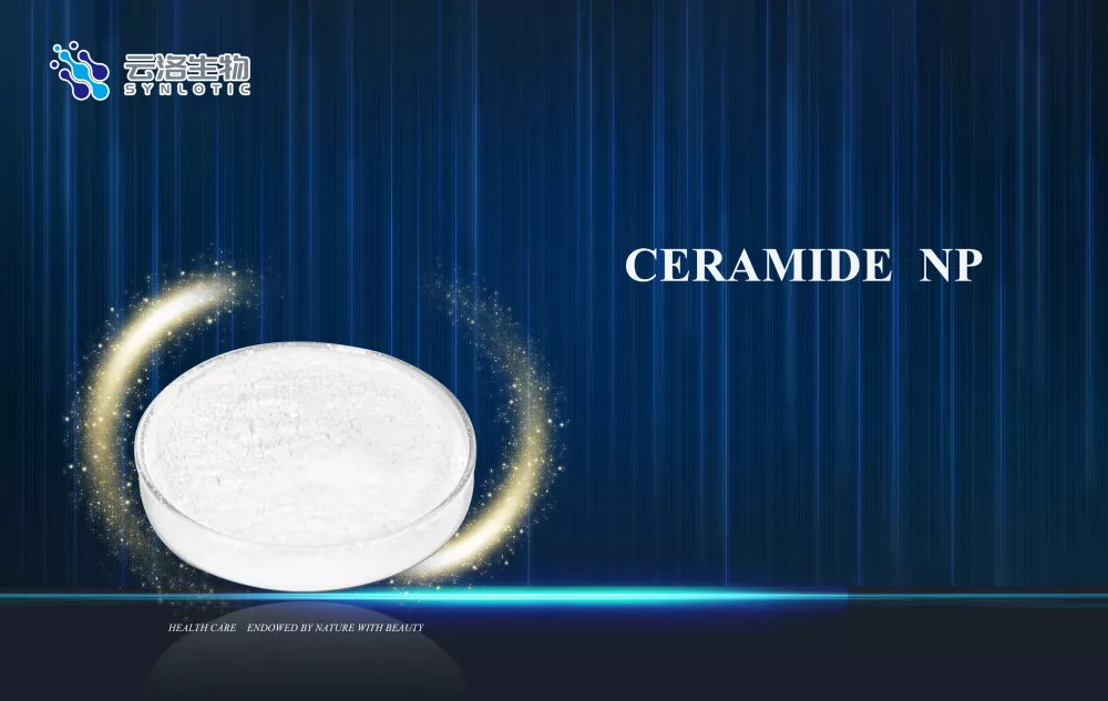 Ceramide NP Müasir Kosmetikada Dəri Bariyer Baxımını Necə Dəstəkləyir?