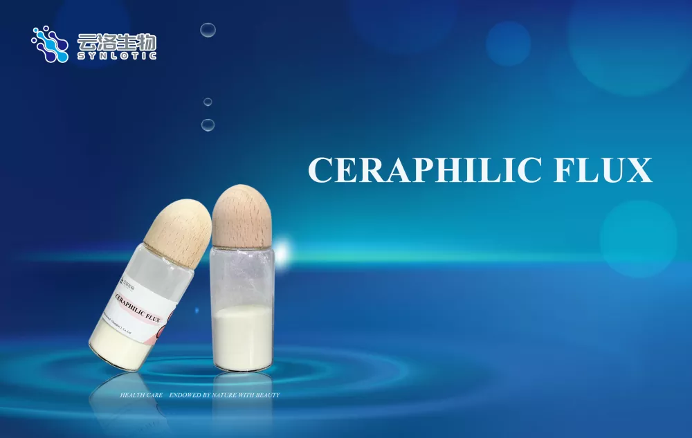 Caraphilic flux